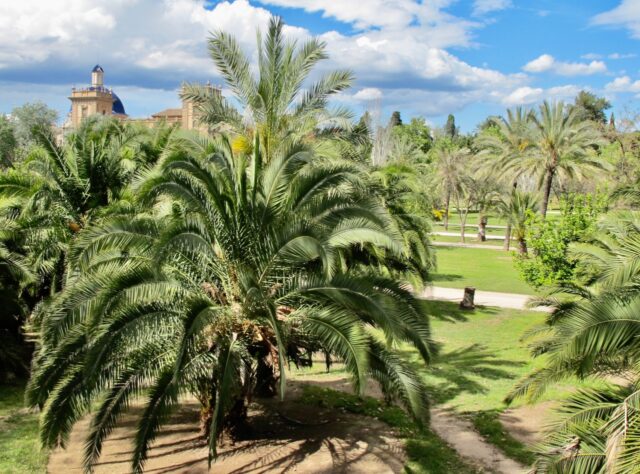 turia-park-valencia