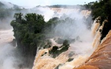 My furry ‘tour guide’ at the Iguazu Falls iguazu-falls-argentina-photo