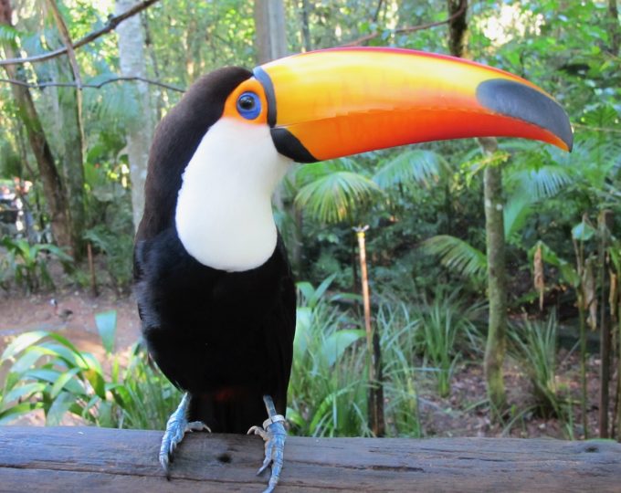 The colours of Parque das Aves