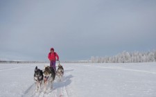 Unforgettable winter experiences velvet-escape-husky-sledding-photo