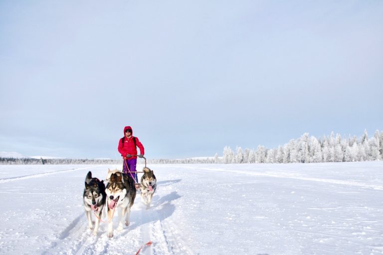 Ten things to do in Lapland in the winter | Velvet Escape