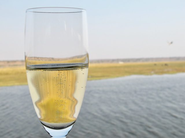 champagne-welcome-zambezi-queen-photo