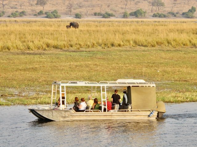 zambezi-queen-safari-photo