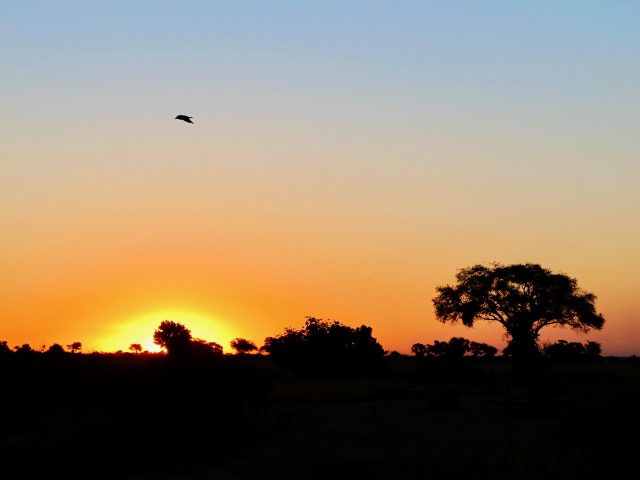 chobe-botswana-sunset-photo
