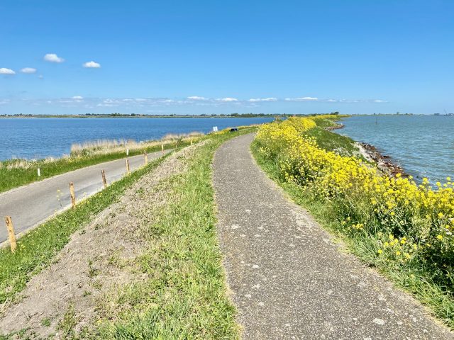 cycling-route-north-amsterdam-markermeer-photo