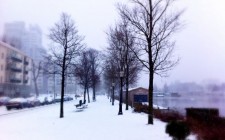 A Dutch winter wonderland A snowy winter in Amsterdam.