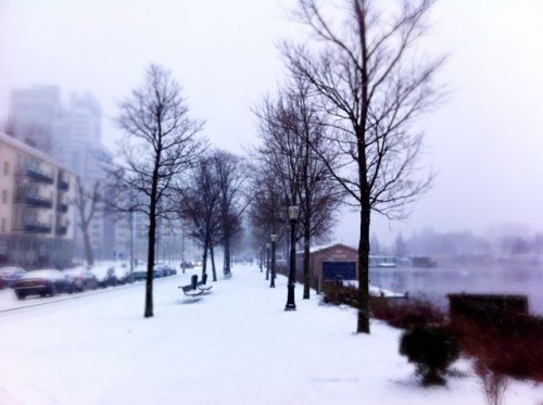 A snowy winter in Amsterdam.