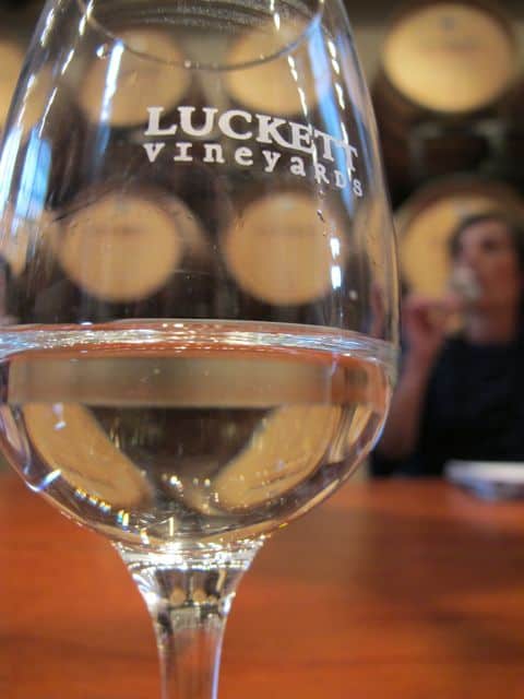 wine-tasting-luckett-vineyards-photo