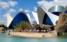 Wildlife in Valencia oceanografic-valencia-architecture-photo