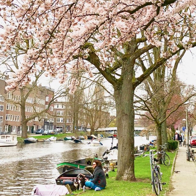 spring-amsterdam-canal-photo-photo