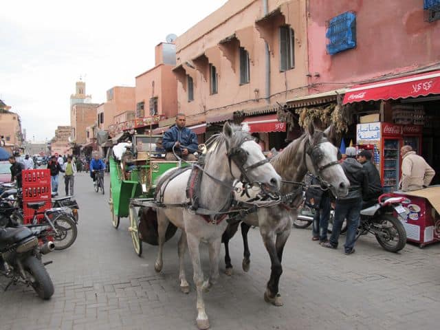 horse-carriages-marrakech-photo