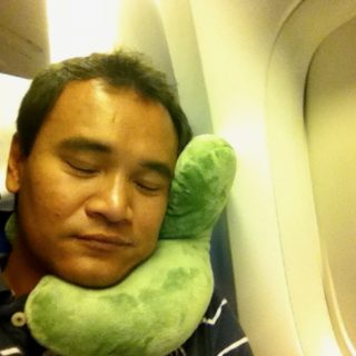 best plane pillow