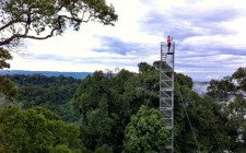 A jungle adventure in Brunei canopy-walk-temburong-photo