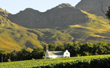 Discovering the magic of Stellenbosch A Stellenbosch winery.