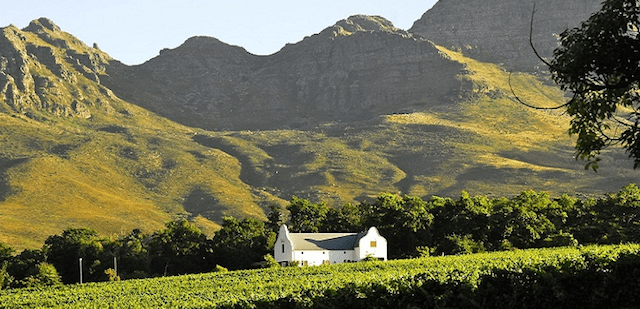 A Stellenbosch winery.
