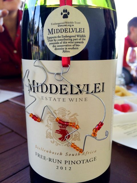 Middelvlei-wines-pinotage-photo
