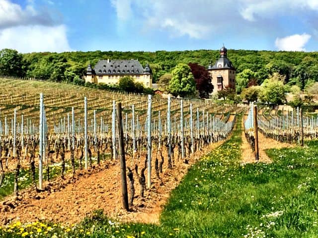 schloss-vollrads-photo
