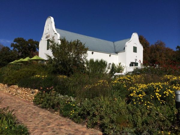 Stellenbosch Wineries To Visit