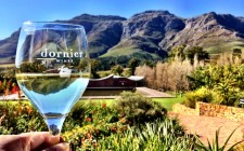Eleven Stellenbosch wineries to visit dornier-wine-scenery-photo