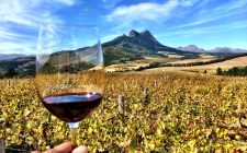 Ten things to do in Stellenbosch stellenbosch-wine-scenery-photo