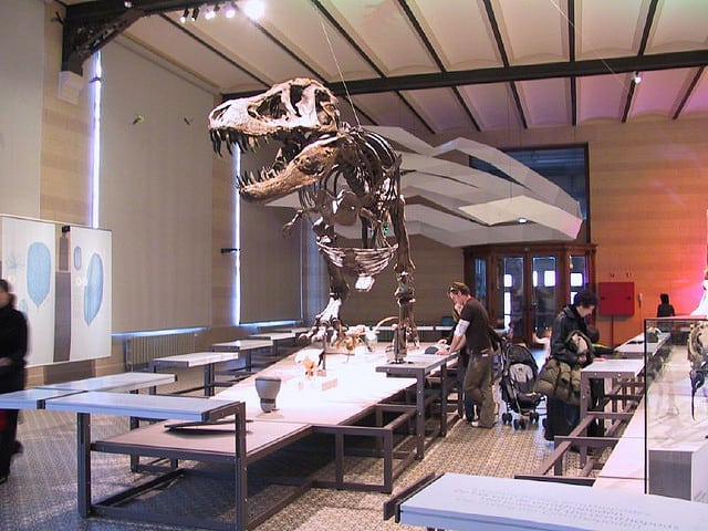 Museum of Natural Sciences (image courtesy of Bene).