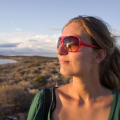 Nienke-Krook