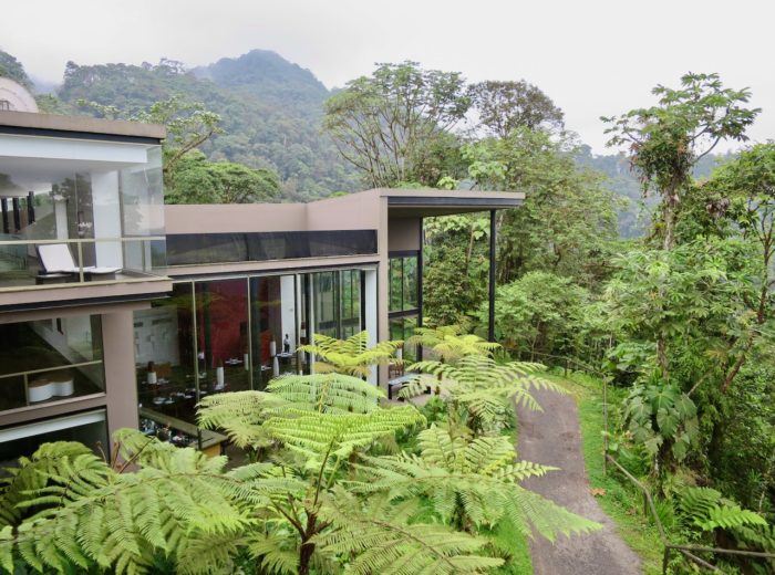 Experiencing the Mashpi Cloud Forest