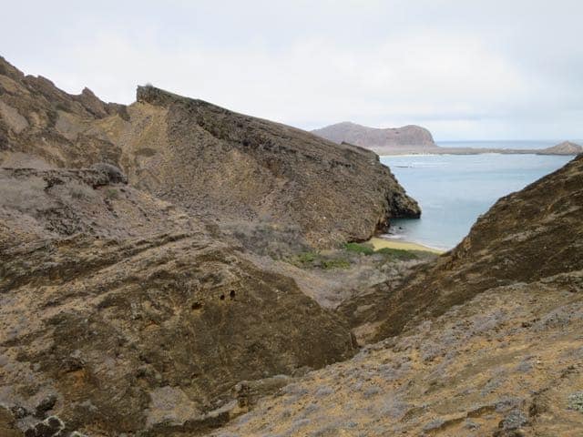 punta-pitt-galapagos-photo