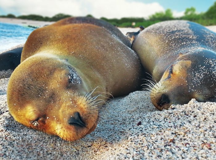 The magic of the Galapagos Islands