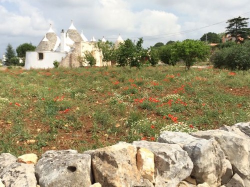 trulli-puglia-photo