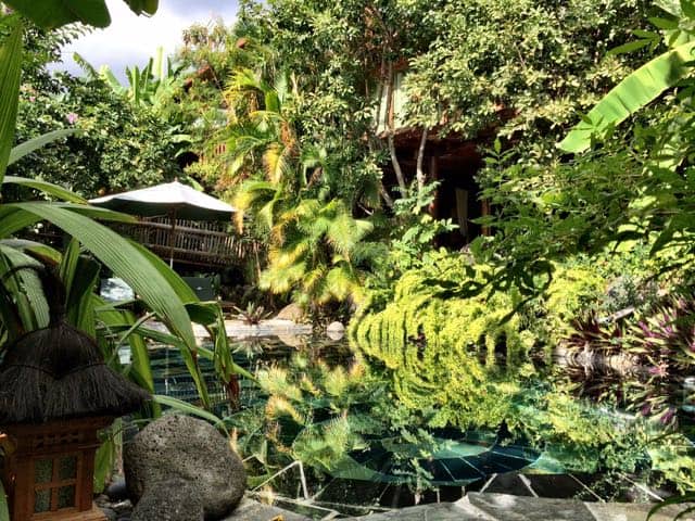 lodge-roche-tamarin-reunion-photo