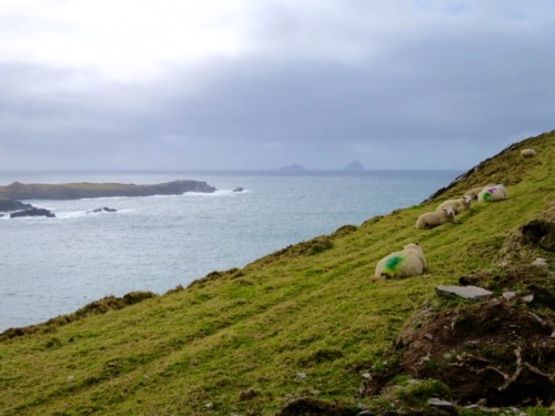 Best places to visit on a Wild Atlantic Way road trip in Ireland