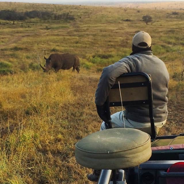 Watching a rhino from a distance.
