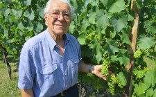 A passion for Lambrusco massimo-casali-photo