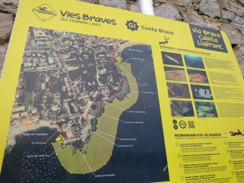 vies-braves-open-water-swimming-photo