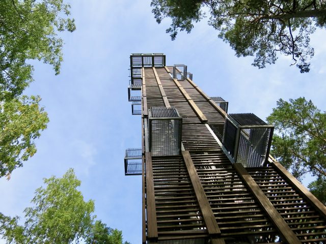 observation-tower-dzintari-forest-park-photo