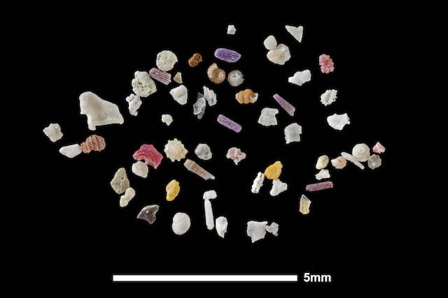 Mauritius sand sample, highly magnified with 5mm scale bar. “This sand from Trou aux Biches in Mauritius exemplifies the rich biodiversity on the reefs. The lavender, brown and white rods are sea urchin spines. The spiral-chambered grains are forams. The ribbed brown grain, the yellowish grain and the bright pink grain with the rounded markings are all shell fragments. The white grains are bits of coralline algae and coral.”