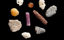 The diversity of the Indian Ocean islands Close-up of grains of sand from St. Gilles in La Réunion.