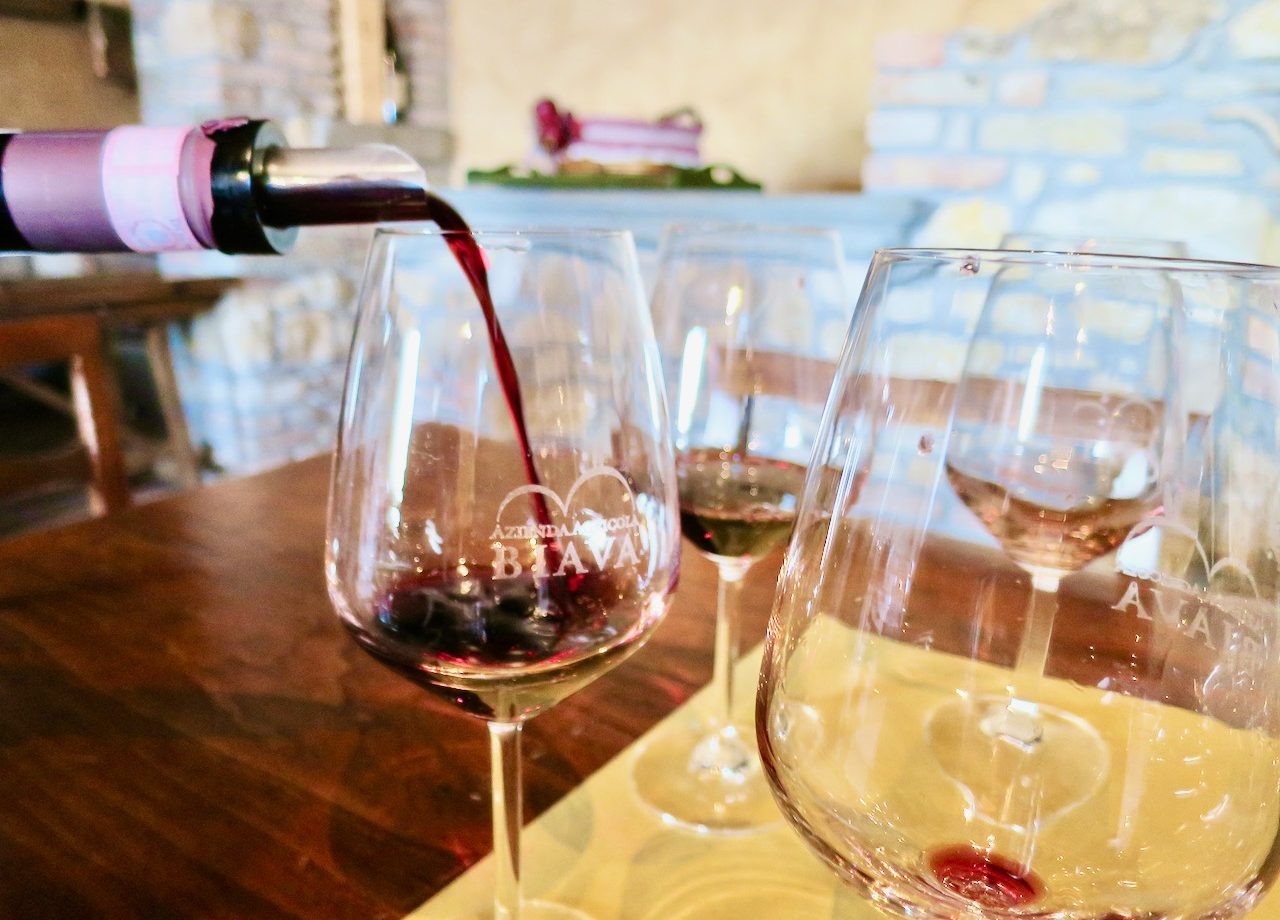 moscato-di-scanzo-wine-tasting-photo