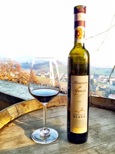 moscato-di-scanzo-photo