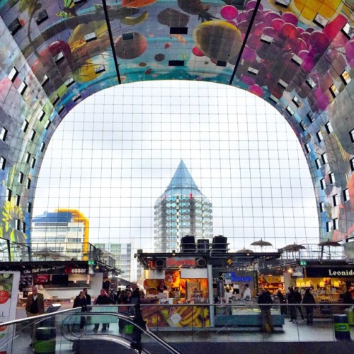 markthal-rotterdam-photo