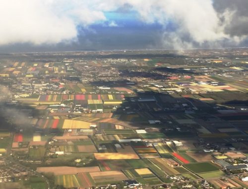 air-view-tulip-fields-photo