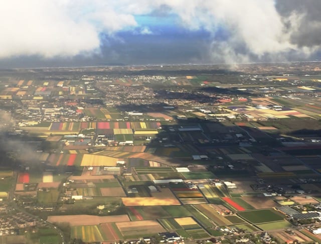 air-view-tulip-fields-photo