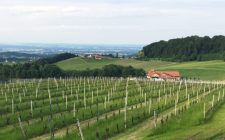 A gorgeous wine region you should know about ratscher-landhaus-photo