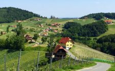 Discovering the South Styrian Wine Road wolfgang-maitz-vineyard-scenery-photo