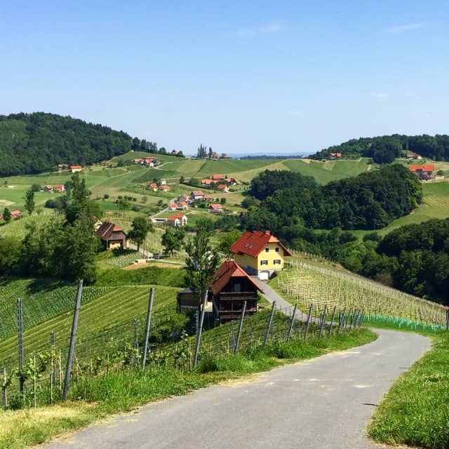 wolfgang-maitz-vineyard-scenery-photo