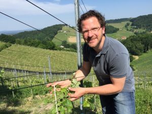 South Styrian Wine Road - the route, where to eat and drink
