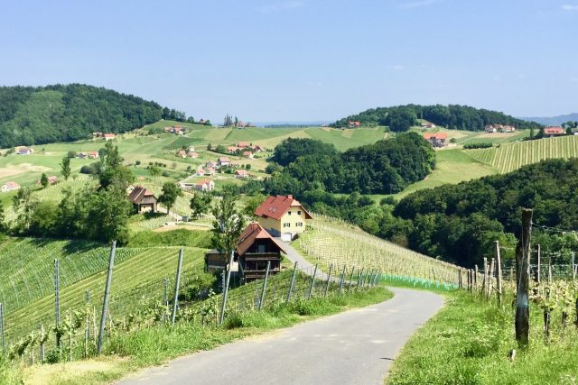 steiermark-wine-road-photo