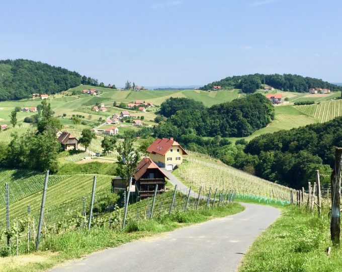 Discovering the South Styrian Wine Road