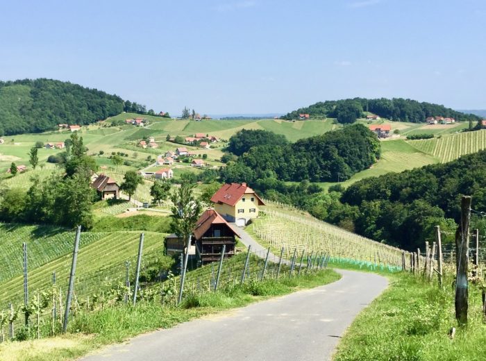 Discovering the South Styrian Wine Road